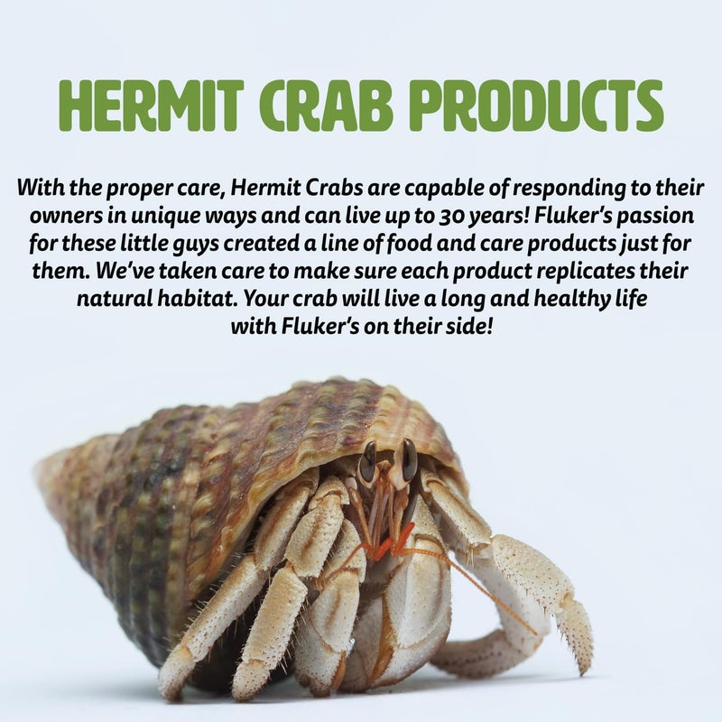 Fluker's Corner Rock Bowl, Food & Water Dish for Hermit Crabs, Medium 6" - Image 5